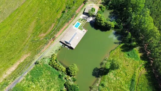 Fazenda/Sítio com 4 Quartos à venda, 3358m² no Zona Rural, Palestina