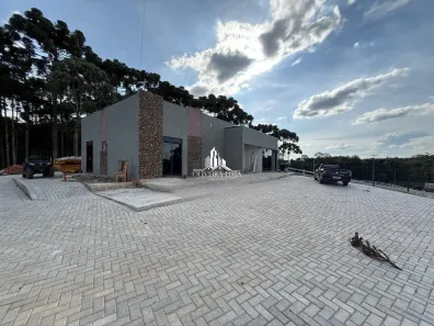 Fazenda/Sítio com 3 Quartos à venda, 28000m² no , Campina Grande do Sul