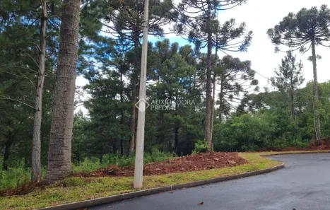 Lote/Terreno à venda, 614m² no Dutra, Gramado