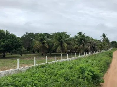 Lote/Terreno à venda, 17295m² no São José de Mipibu, São José de Mipibu