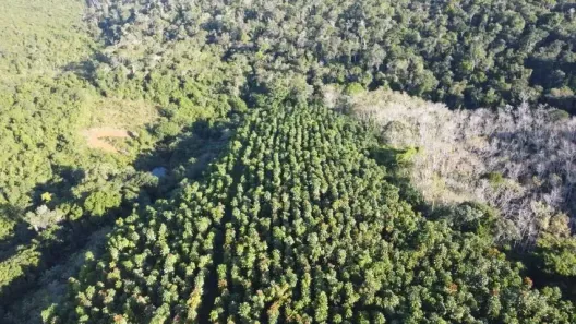 Fazenda/Sítio com 2 Quartos à venda, 1060000m² no , Camamu