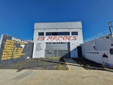 Galpão/Depósito/Armazém para alugar, 250m² no Morada Nova, Uberlândia
