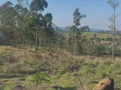 Lote/Terreno à venda, 500m² no Cupim, Ibiúna