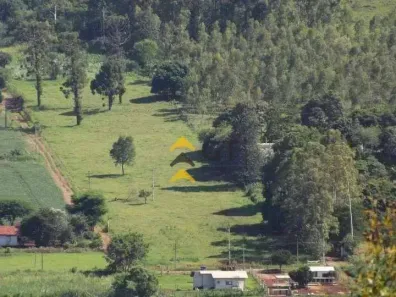 Fazenda/Sítio com 3 Quartos à venda, 200m² no Gleba Fazenda Palhano, Londrina