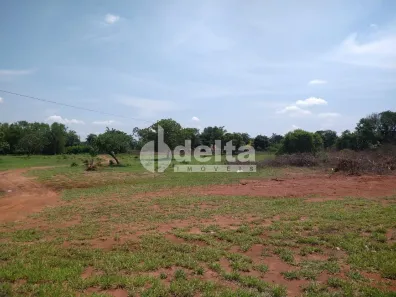 Fazenda/Sítio à venda, 5042m² no Área Rural de Uberlândia, Uberlândia