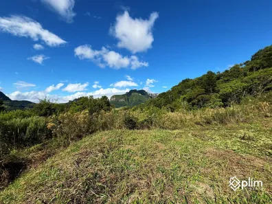 Fazenda/Sítio com 1 Quarto à venda, 30000m² no , Alfredo Wagner