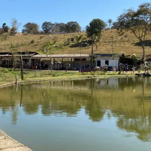 Fazenda/Sítio à venda, 100000m² no Itacolomi, Betim