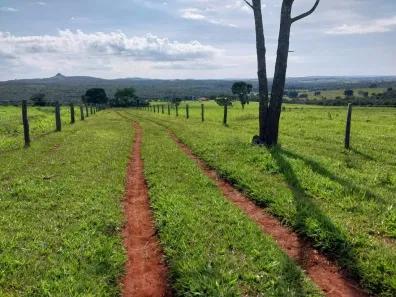 Fazenda/Sítio com 3 Quartos à venda, 151m² no , Caiapônia