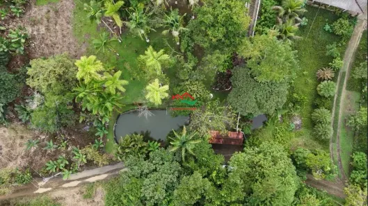 Fazenda/Sítio com 3 Quartos à venda, 2474m² no Centro, Itariri