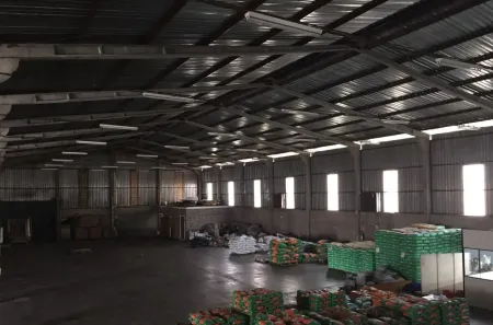 Galpão/Depósito/Armazém para alugar, 7000m² no Pólo Empresarial, Campo Grande