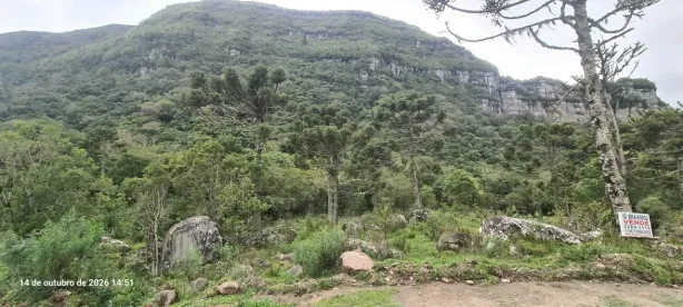 Fazenda/Sítio à venda, 7235m² no , Alfredo Wagner