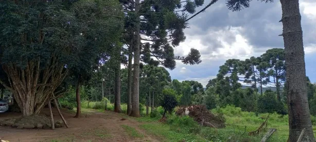 Fazenda/Sítio com 3 Quartos à venda, 170m² no , Carambeí