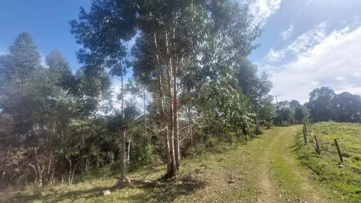 Fazenda/Sítio com 1 Quarto à venda, 20000m² no , Bocaiúva do Sul