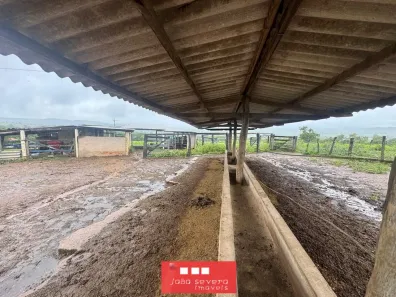 Fazenda/Sítio com 4 Quartos à venda, 484000m² no Área Rural de Luziânia, Luziânia