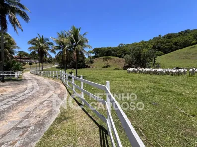 Fazenda/Sítio com 5 Quartos à venda, 330000m² no , Rio Bonito