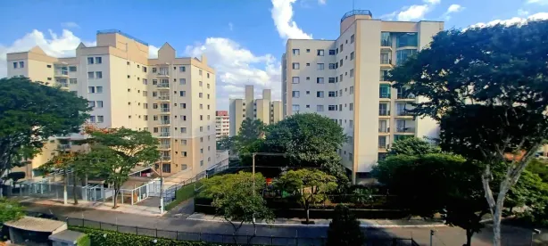 Apartamento com 2 Quartos à venda, 54m² no Vila Amélia, São Paulo