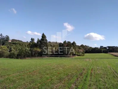 Fazenda/Sítio à venda, 36300m² no Centro, Ibema