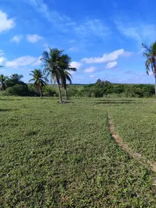 Fazenda/Sítio com 2 Quartos à venda, 1830000m² no , Pureza