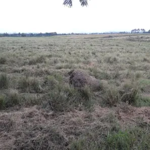 Fazenda/Sítio à venda, 120m² no Centro, Lorena