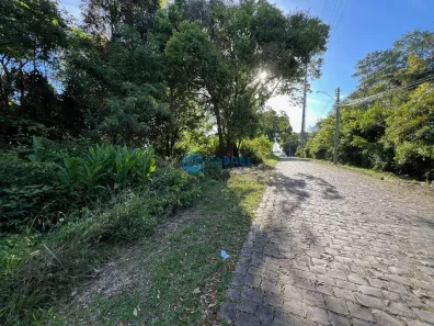 Lote/Terreno à venda, 3846m² no Cruzeiro, Caxias do Sul