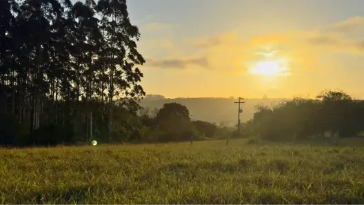 Fazenda/Sítio à venda, 800m² no Águas Claras, Viamão