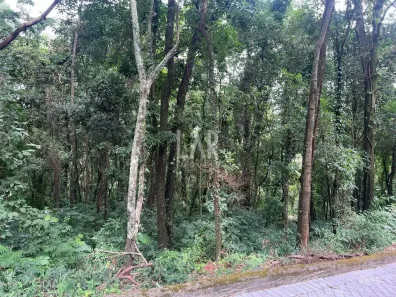Lote/Terreno à venda, 2679m² no Retiro do Chalé (Piedade do Paraopeba), Brumadinho