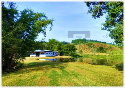 Galpão/Depósito/Armazém para alugar, 600m² no Sabaúna, Mogi das Cruzes