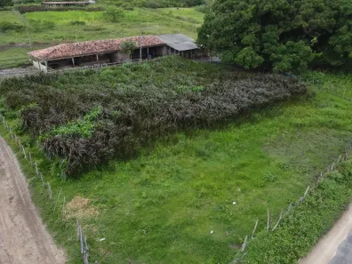 Fazenda/Sítio com 3 Quartos à venda, 650000m² no , São José de Mipibu