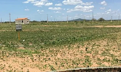Lote/Terreno à venda, 218m² no Abolição, Mossoró