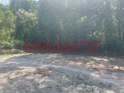 Lote/Terreno à venda, 1492m² no Caraguatá, Mairiporã