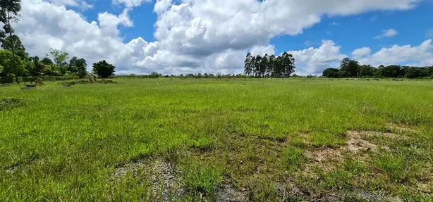 Fazenda/Sítio com 1 Quarto à venda, 20000m² no Brazlândia, Brasília