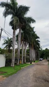 Fazenda/Sítio com 4 Quartos à venda, 474m² no Residencial Burato, Campinas
