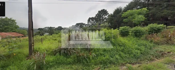 Lote/Terreno à venda, 5000m² no Contorno, Ponta Grossa