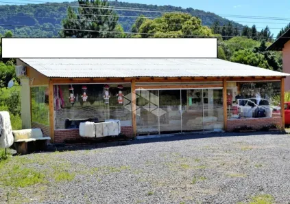 Fazenda/Sítio à venda, 36000m² no Linha Araripe, Nova Petrópolis