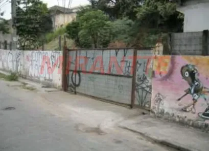 Lote/Terreno à venda, 1527m² no Vila Albertina, São Paulo