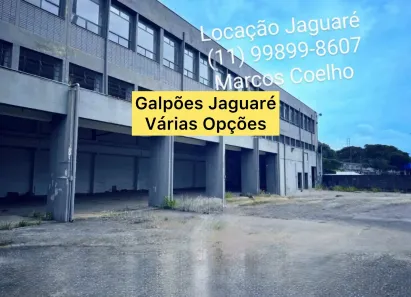 Galpão/Depósito/Armazém para alugar, 4073m² no Jaguaré, São Paulo