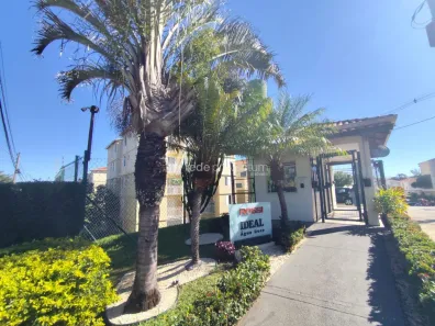 Apartamento com 3 Quartos à venda, 52m² no Vila Marieta, Campinas
