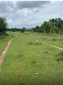 Fazenda/Sítio à venda, 247000m² no Elsa, Viamão