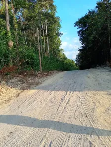 Lote/Terreno à venda, 11700m² no , Manaus