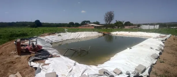 Fazenda/Sítio com 4 Quartos à venda, 20000m² no Planaltina, Brasília