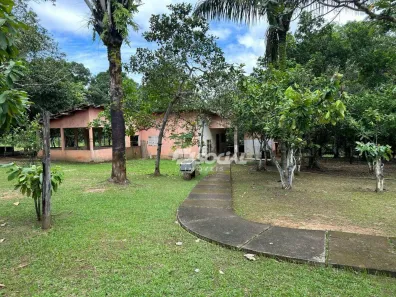 Fazenda/Sítio à venda, 100m² no Pantanal, Porto Velho