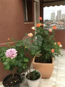 Apartamento com 1 Quarto à venda, 55m² no Vila Nair, São Paulo
