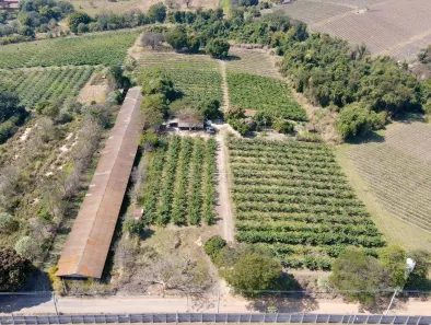 Fazenda/Sítio com 2 Quartos à venda, 40000m² no Parque Residencial Indaiá, Indaiatuba