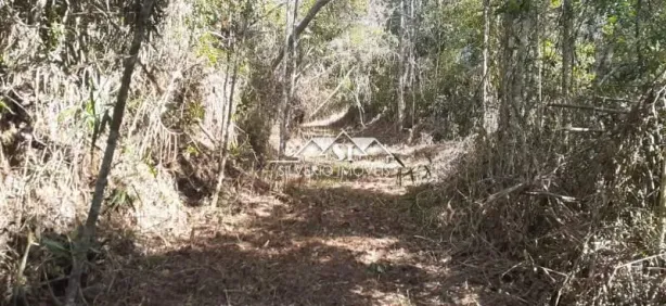 Lote/Terreno à venda, 14151m² no Itaipava, Petrópolis