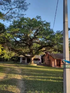 Fazenda/Sítio com 4 Quartos à venda, 30000m² no Águas Claras, Viamão