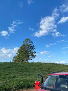 Lote/Terreno à venda, 2000m² no Centro, Igaratá
