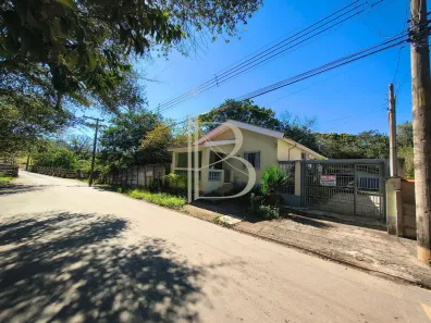 Fazenda/Sítio com 3 Quartos à venda, 6000m² no Jardim Guanabara, São João da Boa Vista