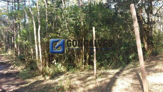Lote/Terreno à venda, 1000m² no Dos Finco, São Bernardo do Campo