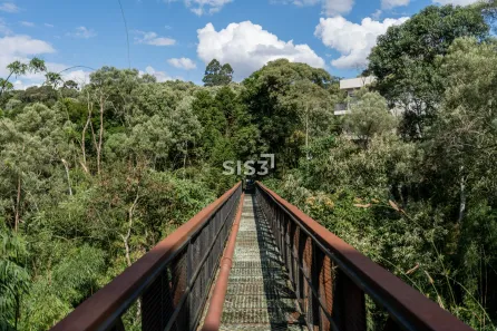 Lote/Terreno à venda, 700m² no Cecilia, Campo Magro