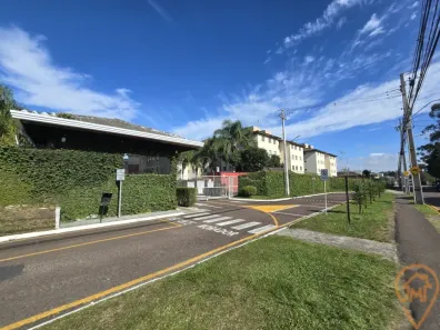 Apartamento com 3 Quartos para alugar, 61m² no Iná, São José dos Pinhais